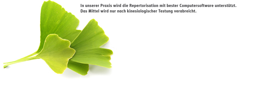 Bild Ginkgo